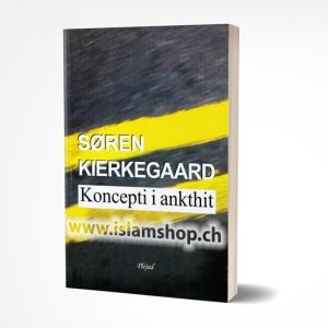 Koncepti i ankthit