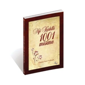 Një këshillë 1001 mësime