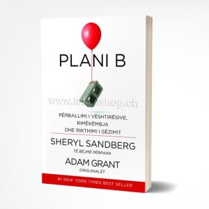 Plani B, përballimi i vështërsive, rimëkëmbja dhe rikthimi i gëzimit