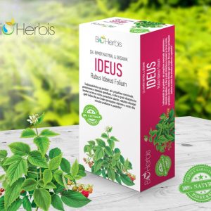 Gjethe Mjedre, Ideus (Rubus Ideaus folium)