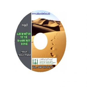 Gjurmëve të të dashurit tonë, mp3