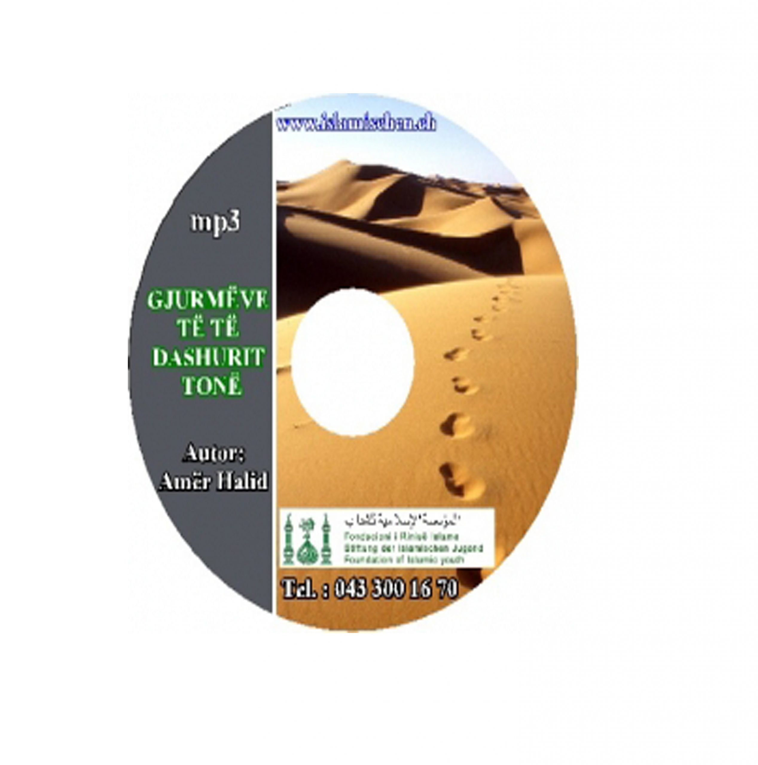 Gjurmëve të të dashurit tonë, mp3