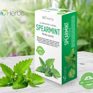 Spearmint - Mentha spicata